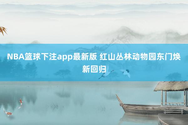 NBA篮球下注app最新版 红山丛林动物园东门焕新回归