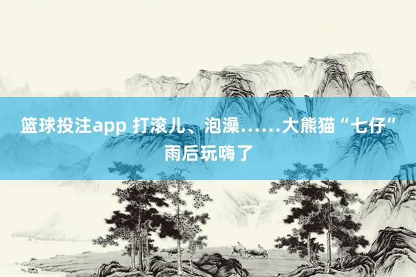 篮球投注app 打滚儿、泡澡……大熊猫“七仔”雨后玩嗨了