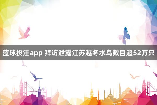 篮球投注app 拜访泄露江苏越冬水鸟数目超52万只