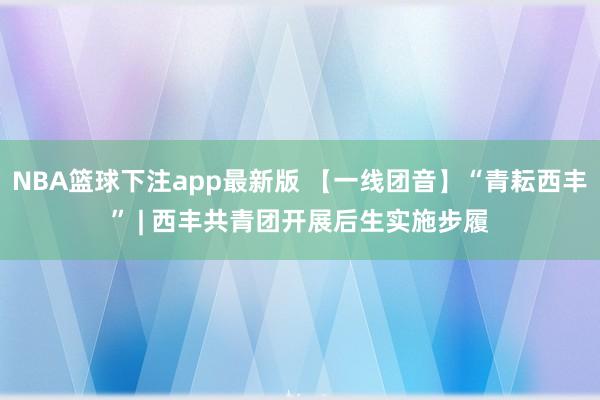 NBA篮球下注app最新版 【一线团音】“青耘西丰” | 西丰共青团开展后生实施步履