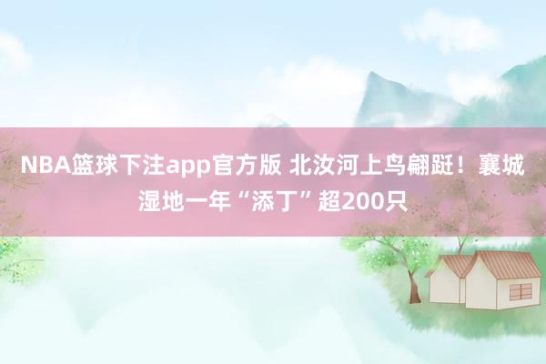 NBA篮球下注app官方版 北汝河上鸟翩跹！襄城湿地一年“添丁”超200只