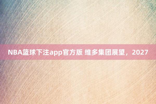 NBA篮球下注app官方版 维多集团展望，2027