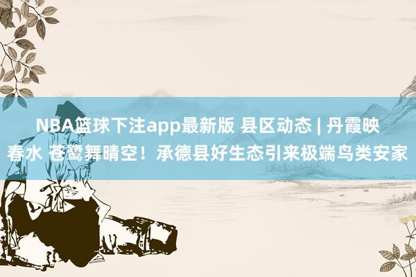 NBA篮球下注app最新版 县区动态 | 丹霞映春水 苍鹭舞晴空！承德县好生态引来极端鸟类安家
