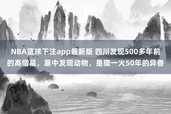 NBA篮球下注app最新版 四川发现500多年前的高僧墓，墓中发现动物，是骤一火50年的异兽