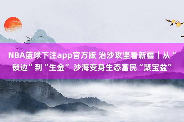 NBA篮球下注app官方版 治沙攻坚看新疆｜从“锁边”到“生金” 沙海变身生态富民“聚宝盆”