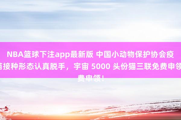 NBA篮球下注app最新版 中国小动物保护协会疫苗接种形态认真脱手，宇宙 5000 头份猫三联免费申领！