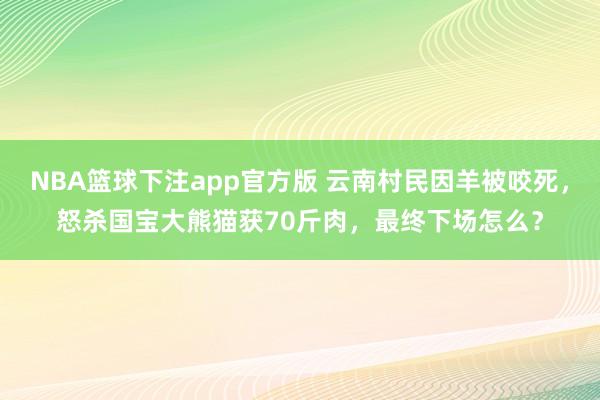 NBA篮球下注app官方版 云南村民因羊被咬死，怒杀国宝大熊猫获70斤肉，最终下场怎么？