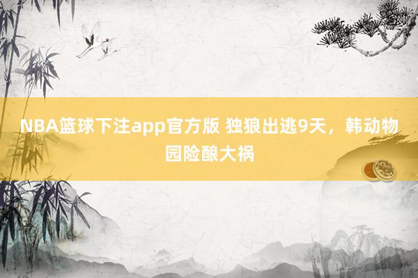 NBA篮球下注app官方版 独狼出逃9天，韩动物园险酿大祸