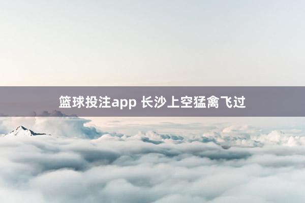 篮球投注app 长沙上空猛禽飞过
