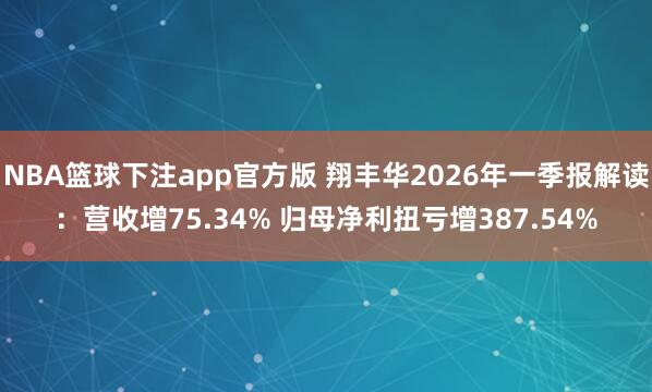 NBA篮球下注app官方版 翔丰华2026年一季报解读：营收增75.34% 归母净利扭亏增387.54%