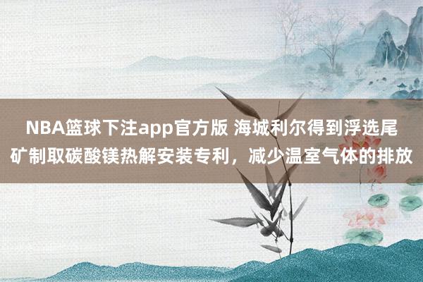 NBA篮球下注app官方版 海城利尔得到浮选尾矿制取碳酸镁热解安装专利，减少温室气体的排放