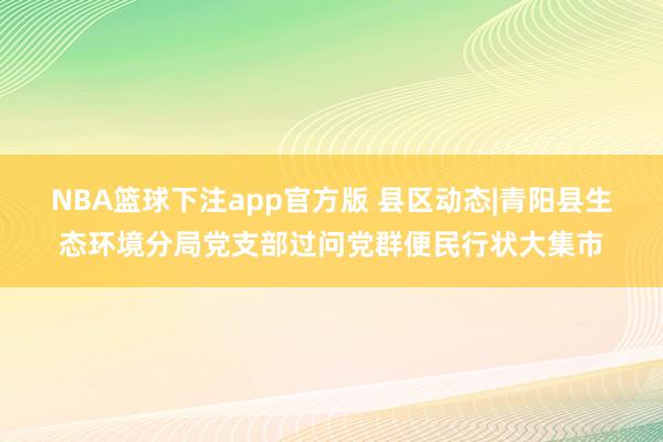 NBA篮球下注app官方版 县区动态|青阳县生态环境分局党支部过问党群便民行状大集市