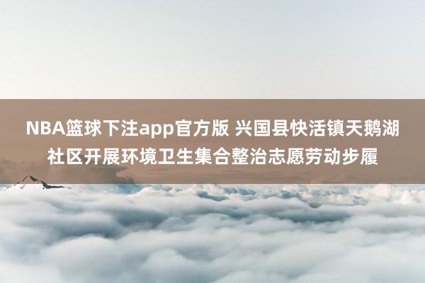 NBA篮球下注app官方版 兴国县快活镇天鹅湖社区开展环境卫生集合整治志愿劳动步履
