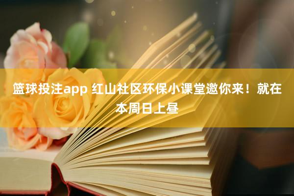 篮球投注app 红山社区环保小课堂邀你来！就在本周日上昼