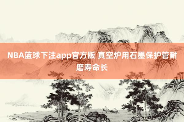 NBA篮球下注app官方版 真空炉用石墨保护管耐磨寿命长