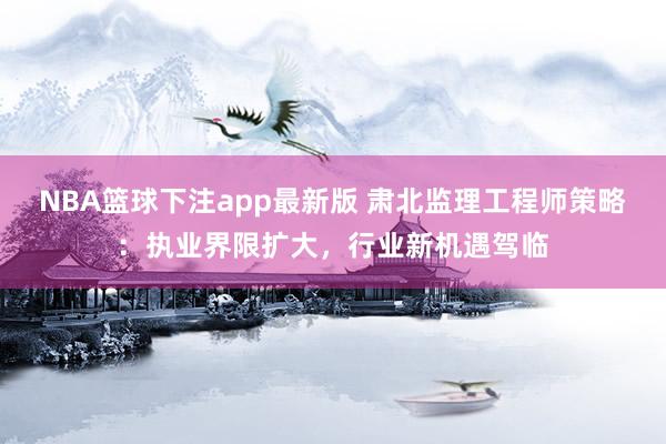 NBA篮球下注app最新版 肃北监理工程师策略：执业界限扩大，行业新机遇驾临