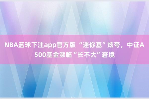 NBA篮球下注app官方版 “迷你基”炫夸，中证A500基金濒临“长不大”窘境