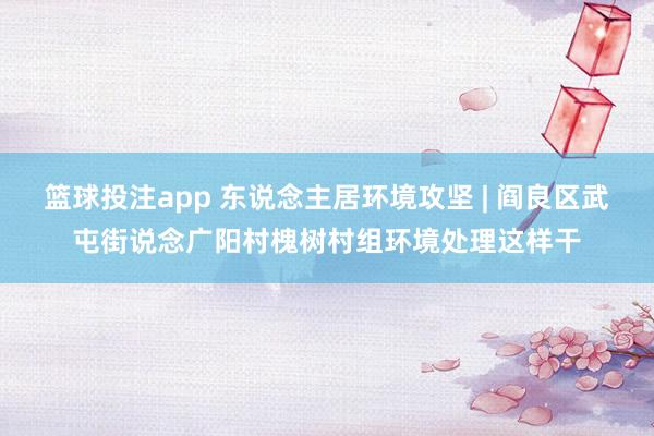 篮球投注app 东说念主居环境攻坚 | 阎良区武屯街说念广阳村槐树村组环境处理这样干