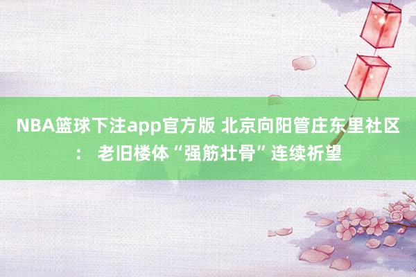 NBA篮球下注app官方版 北京向阳管庄东里社区： 老旧楼体“强筋壮骨”连续祈望