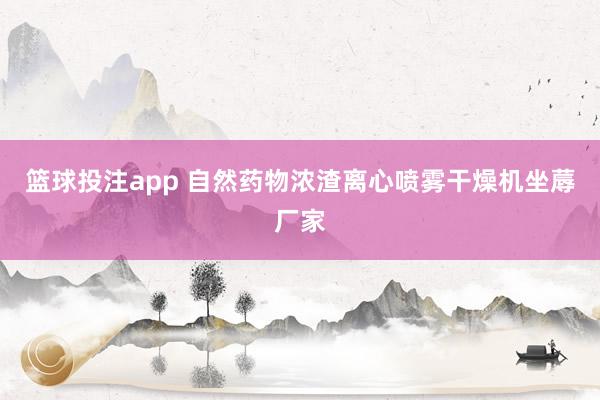 篮球投注app 自然药物浓渣离心喷雾干燥机坐蓐厂家
