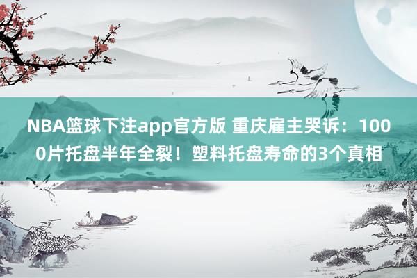 NBA篮球下注app官方版 重庆雇主哭诉：1000片托盘半年全裂！塑料托盘寿命的3个真相