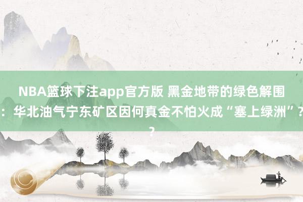 NBA篮球下注app官方版 黑金地带的绿色解围：华北油气宁东矿区因何真金不怕火成“塞上绿洲”？