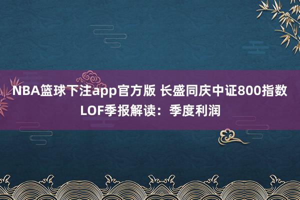 NBA篮球下注app官方版 长盛同庆中证800指数LOF季报解读：季度利润