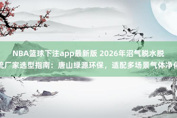 NBA篮球下注app最新版 2026年沼气脱水脱硫厂家选型指南：唐山绿源环保，适配多场景气体净化