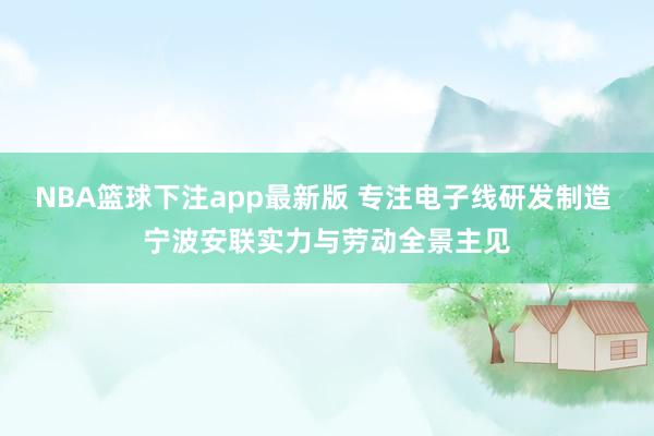 NBA篮球下注app最新版 专注电子线研发制造 宁波安联实力与劳动全景主见
