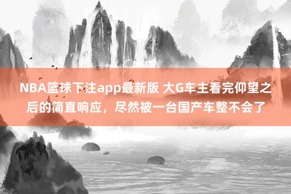 NBA篮球下注app最新版 大G车主看完仰望之后的简直响应，尽然被一台国产车整不会了