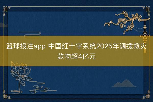 篮球投注app 中国红十字系统2025年调拨救灾款物超4亿元