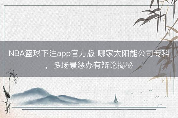 NBA篮球下注app官方版 哪家太阳能公司专科，多场景惩办有辩论揭秘